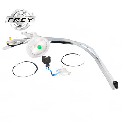 16117163295 Assemblea di filtro del combustibile del motore di automobile, componenti del motore dell'automobile di BMW E82 E60